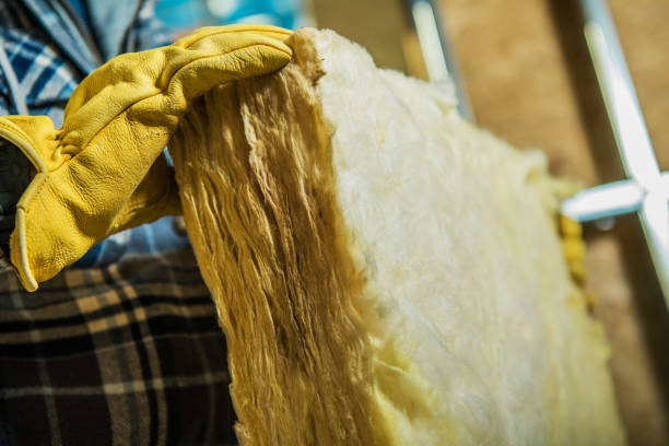 Best DIY Insulation Kits and Guidance in Little River, SC